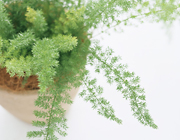 自分で見つけた物件は対象外ですか?